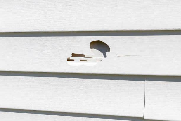 Best Siding Repair  in Downingtown, PA